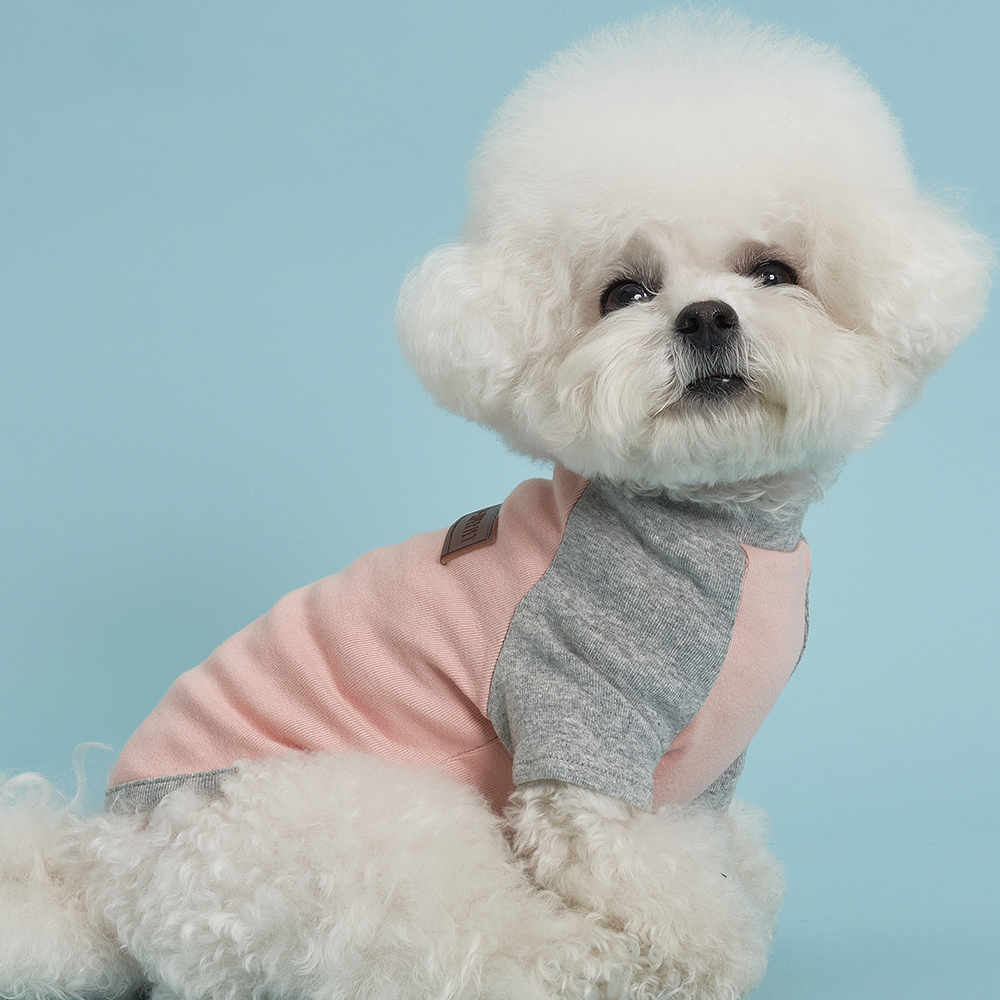 강아지옷 추천 10종 지금 인기 중인 따뜻한 패션!