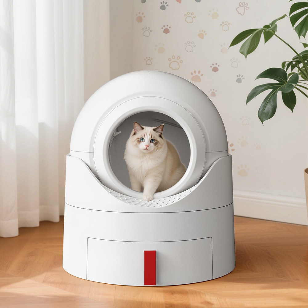 고양이화장실 추천 10개 지금 인기 상품!