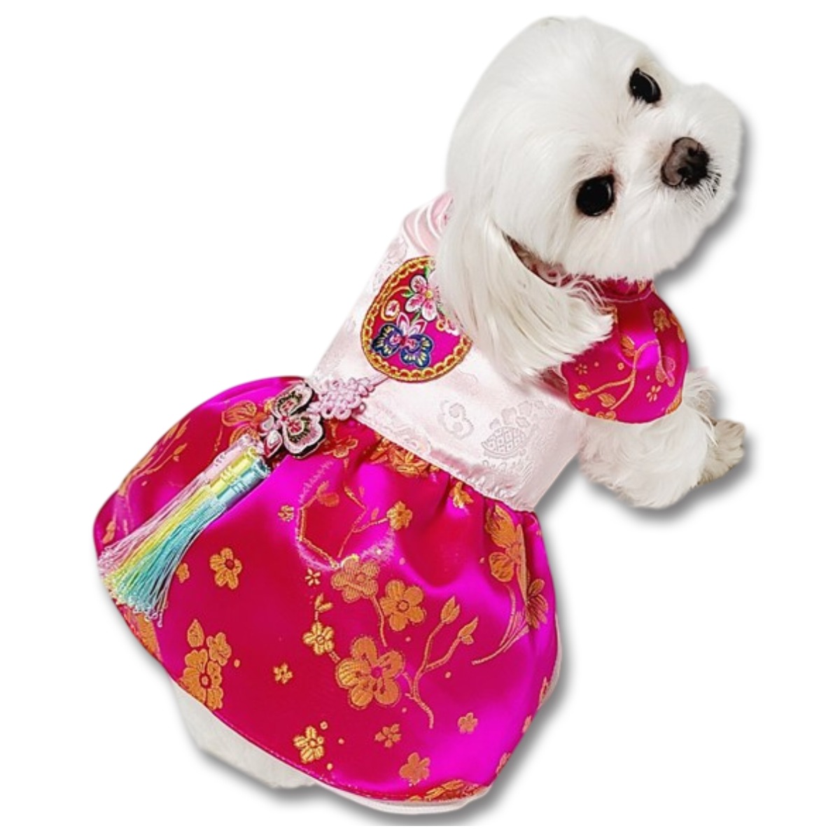 추천 강아지한복 10종 필수 구매 가이드!