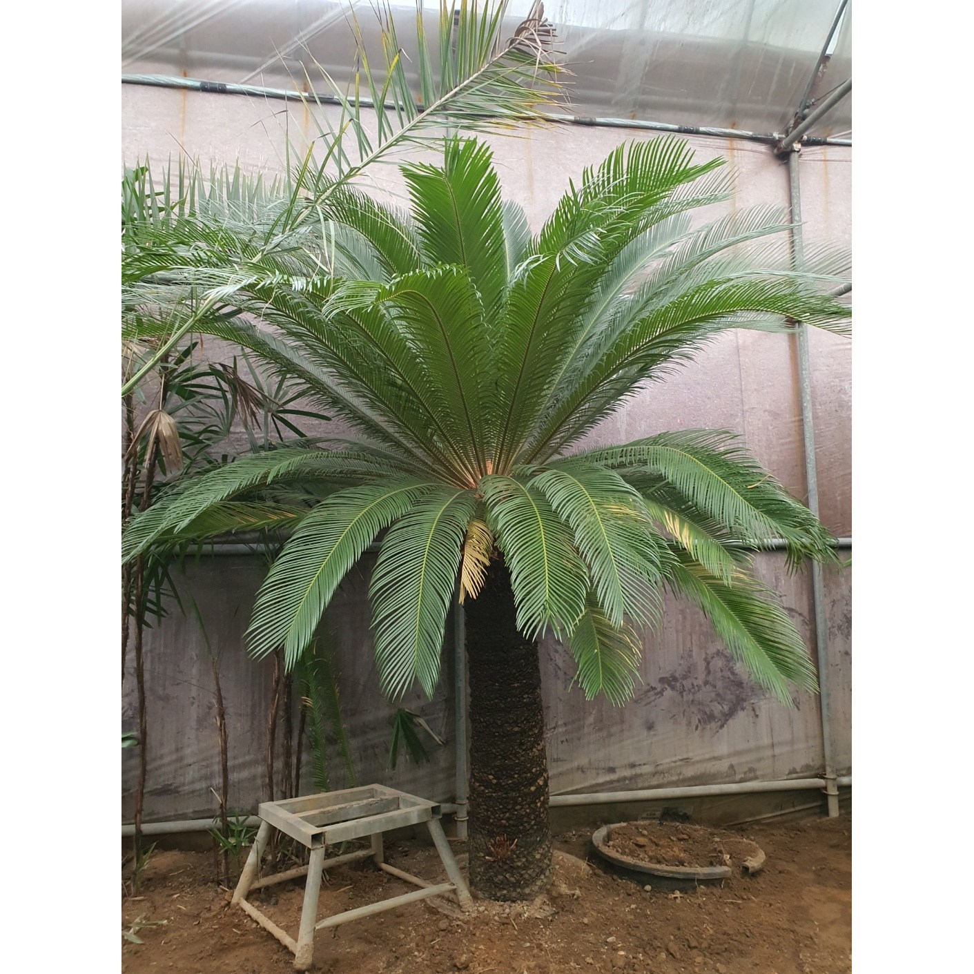 인기 추천 화분 10선 지금 꼭 구매해야 할 필수 아이템