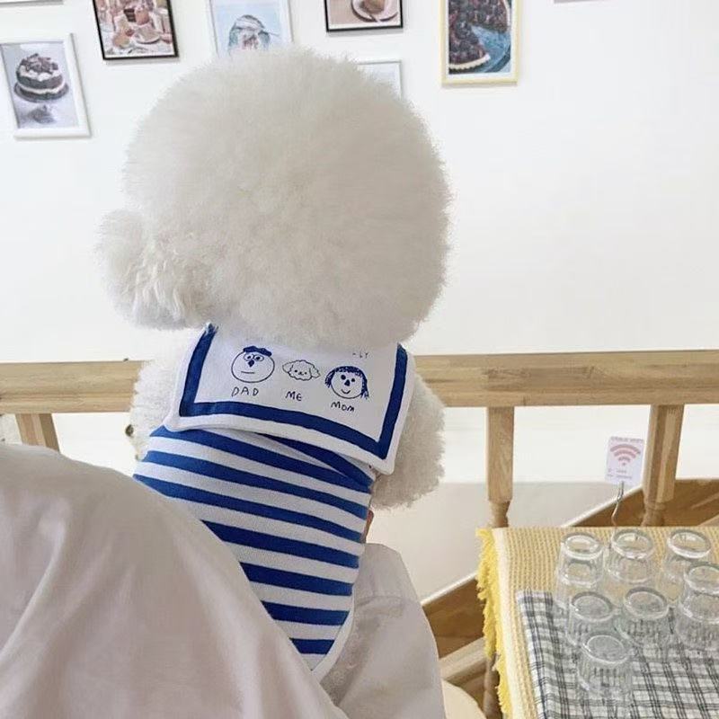 강아지옷 추천 10가지 인기 필수 상품 지금 구매!